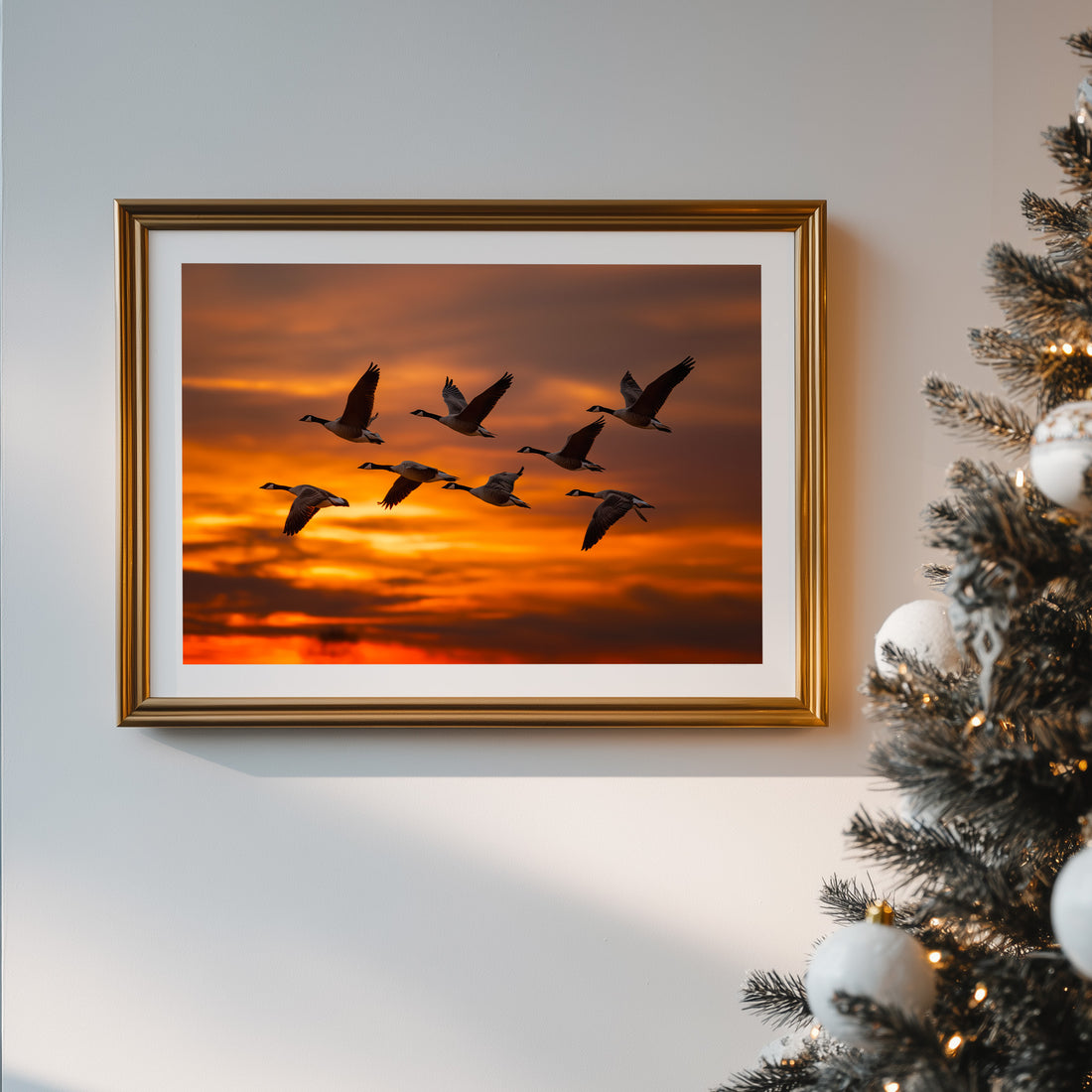 Stunning Sunset Silhouette Of Canada Geese Flying In Formation Nature Photography Wall Art