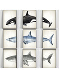 Dive into ocean vibes with this playful 3-piece canvas art set featuring sleek shark and whale silhouettes. Perfect for adding a splash of minimalist coastal charm, these stylish prints bring the sea’s wonder right into your home. Easy to hang and designed to brighten any room with a fun, aquatic touch.