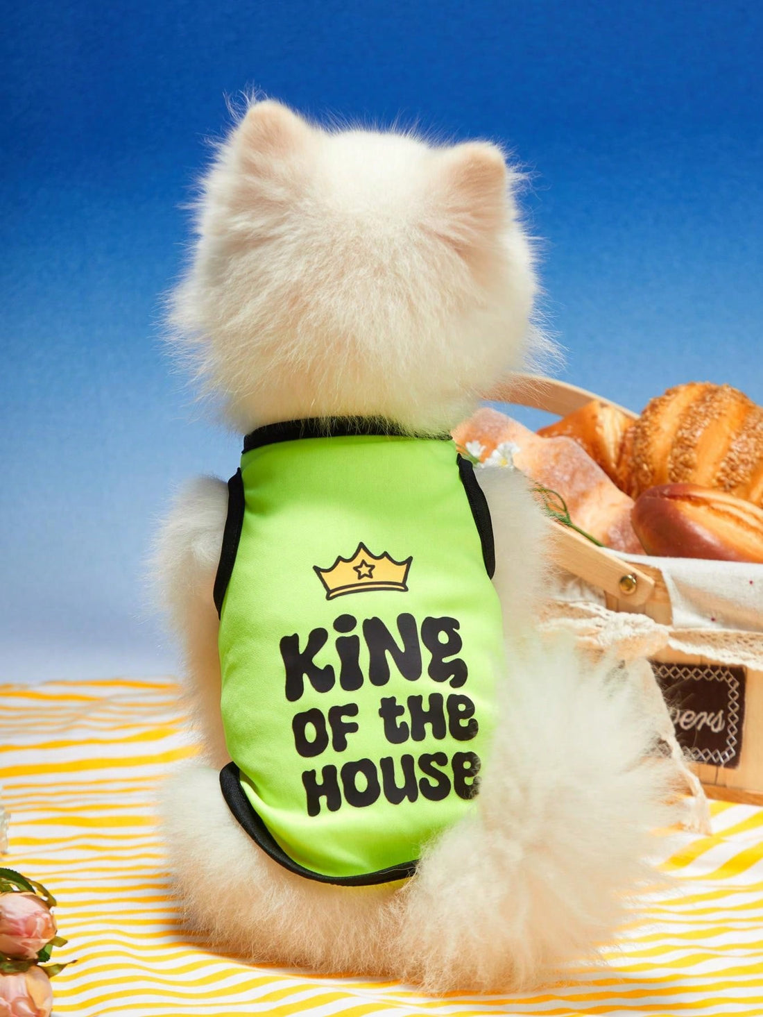 Stay cool and comfortable on all your adventures with our Summer Breeze: King of the House Fluorescent Green Pet Vest. Made for fun and functionality, this vest will keep your pet safe and stylish. With breathable fabric and a vibrant color, your furry friend will be the king of the house in no time.
