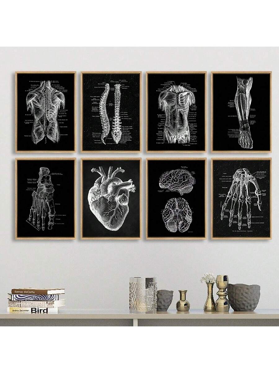 Add a quirky twist to your space with these Vintage Human Anatomy Canvas Prints! Featuring detailed muscle and skeleton illustrations, they’re perfect for medical buffs or anyone looking to spice up their walls with a clever educational vibe. Ideal as unique gifts or eye-catching decor, these prints bring science and style together in a fun way.