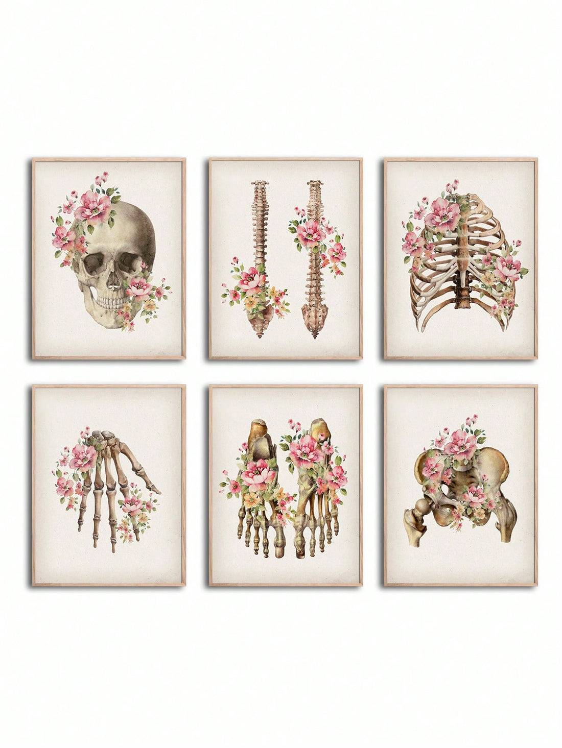 Enhance your space with our 6 piece floral skeletal bones anatomy poster set. Perfect for medical professionals and students, these unique posters bring a touch of vintage charm to any room. Display in a clinic, dorm, or home for stylish and informative wall art.