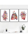 Anatomy Art Trio: Brain, Heart, and Lung Poster Prints - Modern Wall Decor for Students & Hospitals