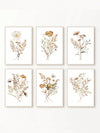 6-Piece Wildflower Botanical Floral Art Painting Set: Nordic Minimalist Modern Wall Decor for Every Room