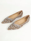 Dazzling Crystal Party Shoes: Stylish, Comfortable, and Perfect for Banquets