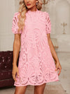 Pink Perfection: Classic Lace Dress for Women