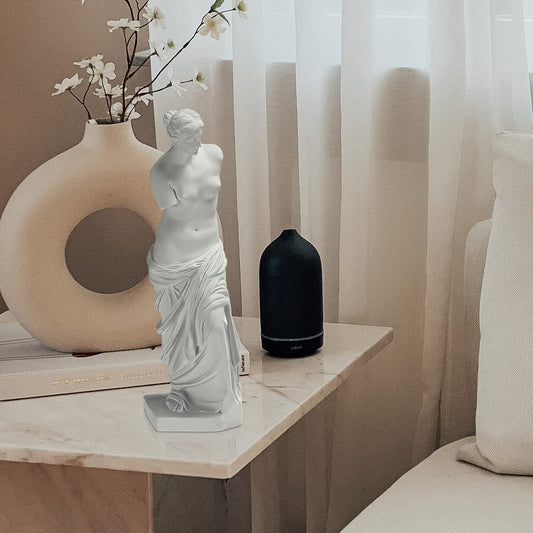 "Infuse your space with timeless beauty with our Exquisite Venus de Milo Statue. This sculpture depicts the iconic Greek goddess Aphrodite, representing love, beauty, and grace. Perfect for art enthusiasts or anyone wanting to add elegance to their decor. Made with intricate details for an authentic touch."