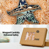 Starfish 3D Wooden Art Carving: Exquisite Home Decor, Art Night Light & Memorable Holiday Gift