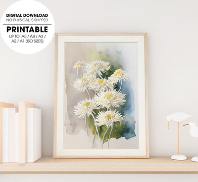 A Bunch Of Blooming Chrysanthemum, Watercolor White Flower, Poster Design, Printable Art