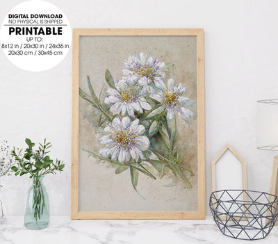 White Chrysanthemum Retro Style, Small White Dry Flowers In Vintage, Poster Design, Printable Art