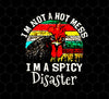 Cock Love Gift, I Am Not A Hot Mess, I Am A Spicy Disaster Lover, Png Printable, Digital File