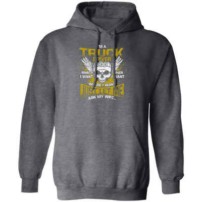 Driver Love Gift, Best Truck Driver, I Am A Truck Driver, I Do Anything, Just Ask My Wife Pullover Hoodie