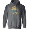 1973 Best Gift, 1973 Limited Edition, April 1973 Birthday Gift, Retro 1973 Pullover Hoodie