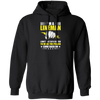 I Am A Lineman, I Don't Just Flip A Switch To Make The Power Come Back On Pullover Hoodie