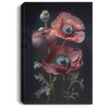 Fruit Punch Poppies In The Garden, Poppies In The Black Background, Red Flowers