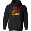 Canary Bird Life Is Better With A Fashionable Bird Vintage Pullover Hoodie