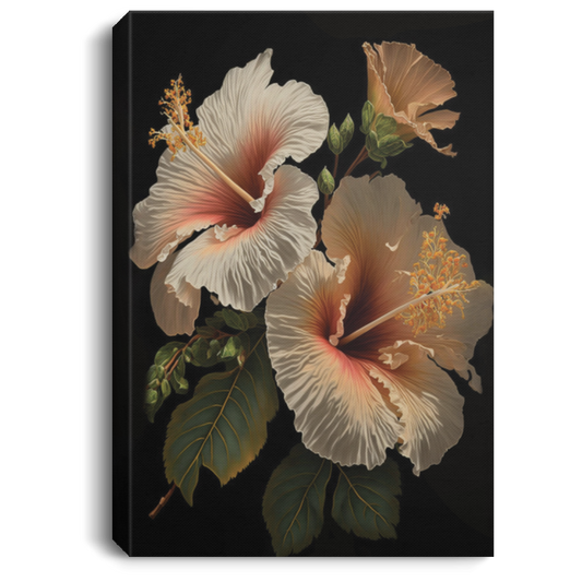 White And Peach Colored Hibiscus Flowers, Luxury Flower