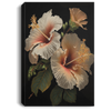 White And Peach Colored Hibiscus Flowers, Luxury Flower