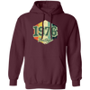 Retro 1976 Birthday Gift, Celebration 1976 Vintage, Born In 1976 Pullover Hoodie