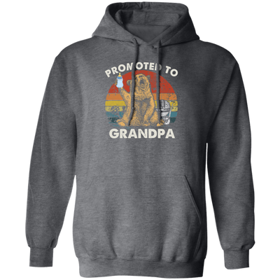 Vintage Promoted To Grandpa Bear, Bear Lover Gift In Vintage Pullover Hoodie