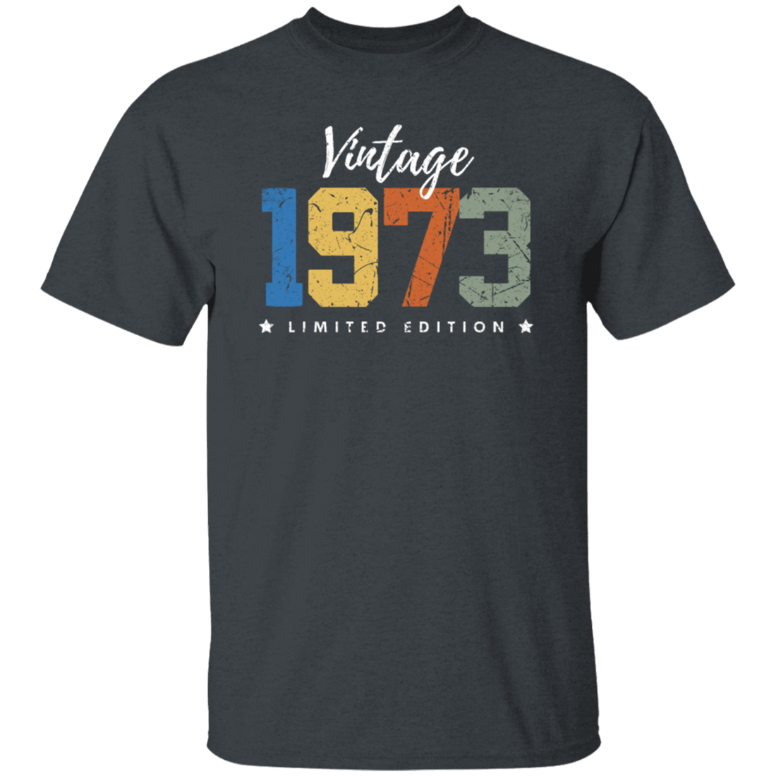 Vintage Style Gift For 1973 Limited Edition Retro Color
