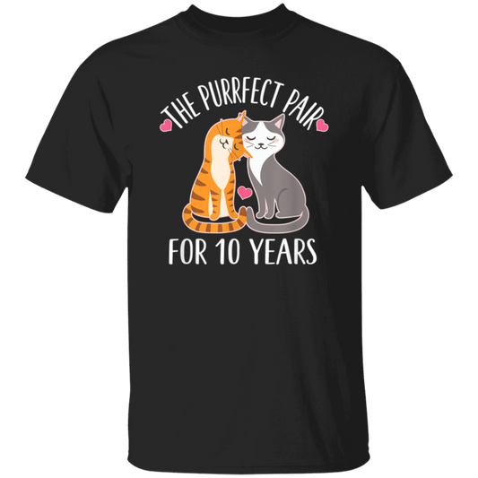 10th Anniversary Gift Cute Couples 10 Years