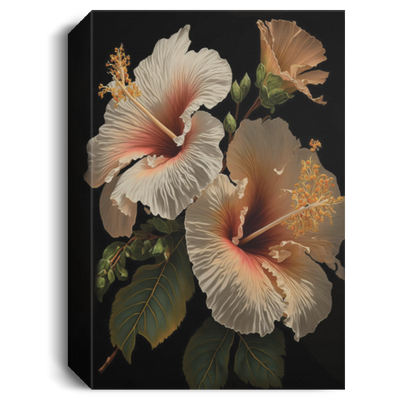 White And Peach Colored Hibiscus Flowers, Luxury Flower