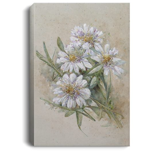 White Chrysanthemum Retro Style, Small White Dry Flowers In Vintage