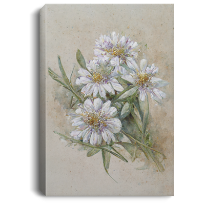 White Chrysanthemum Retro Style, Small White Dry Flowers In Vintage