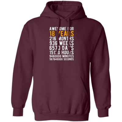 Awesome For 18 Years, 18th Birthday Gift Best Gift Idea For 18 Pullover Hoodie