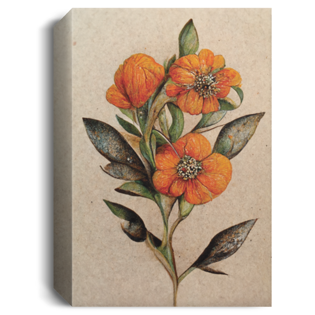 Small Cartamus Flowers, Small Orange Herbaceous Plant Vintage