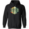 Retro 1976 Birthday Gift, Celebration 1976 Vintage, Born In 1976 Pullover Hoodie