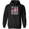 Best President, Jesus Is My Savior, Trump Is My President, Love America Pullover Hoodie