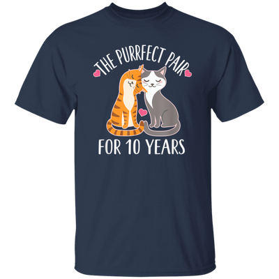 10th Anniversary Gift Cute Couples 10 Years