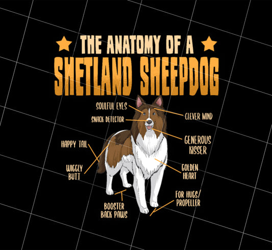 Funny Dog Shetland Png, Sheepdog Lover Anatomy Gift Png, The Anatomy Of A Shetland Sheepdog Png, Golden Png, PNG Printable, DIGITAL File