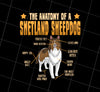 Funny Dog Shetland Png, Sheepdog Lover Anatomy Gift Png, The Anatomy Of A Shetland Sheepdog Png, Golden Png, PNG Printable, DIGITAL File