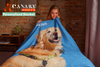 Personalized Pet Photo And Name Blanket, Custom Dog Lover Blankets BL14
