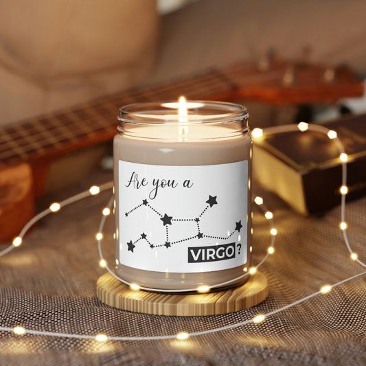 Are You A Virgo, Love Zodiac, Birthday Gift, Zodiac Candle Gift, Soy Candle 9oz CJ37