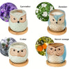 This Combo 6pcs of Owl Candle and Essential Oil Candle Gifts is a unique way to make a thoughtful gift. The candles are made of natural wax and provide a healing, relaxing atmosphere when burned. With its cute owl shape and essential oil aromas, you can bring joy and beauty to your loved ones.