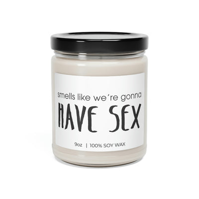 Smells Like We Are Gonna Have Sex, Valentine Candle Gift, Soy Candle 9oz CJ26