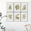 This Rustic Farmhouse Vintage Botanical Wall Art set offers a unique, antique style with 6-pieces of classic flower posters for home decor. Each set features a high-quality, glossy finish for a vintage, rustic look that adds an instant touch of elegance to any room.